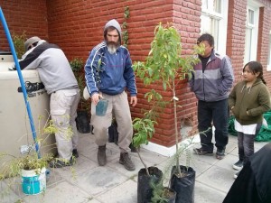 capo-y-rolo-mas-arboles