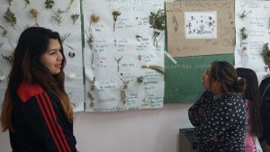 escorial-especies-de-arboles